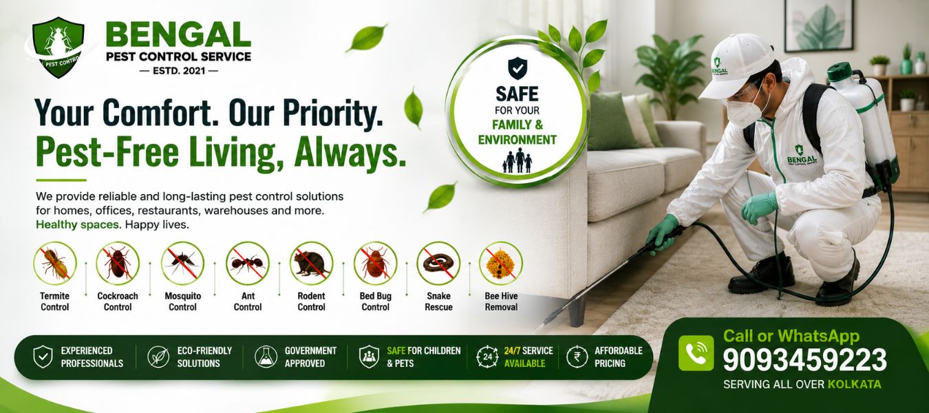 Termite, Cockroach and Rodent Control Services in Kolkata