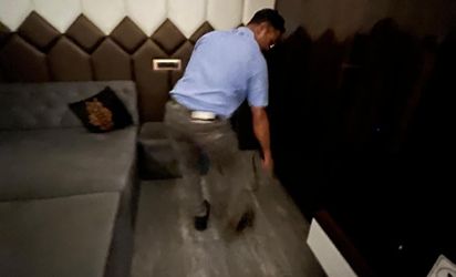 Pest Control Service Kolkata Gallery Image 6