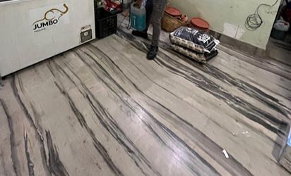 Pest Control Service Kolkata Gallery Image 7