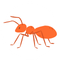 Red Ant Control
